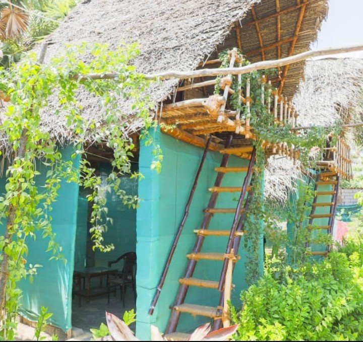 Rainbow Cottages ECR主图