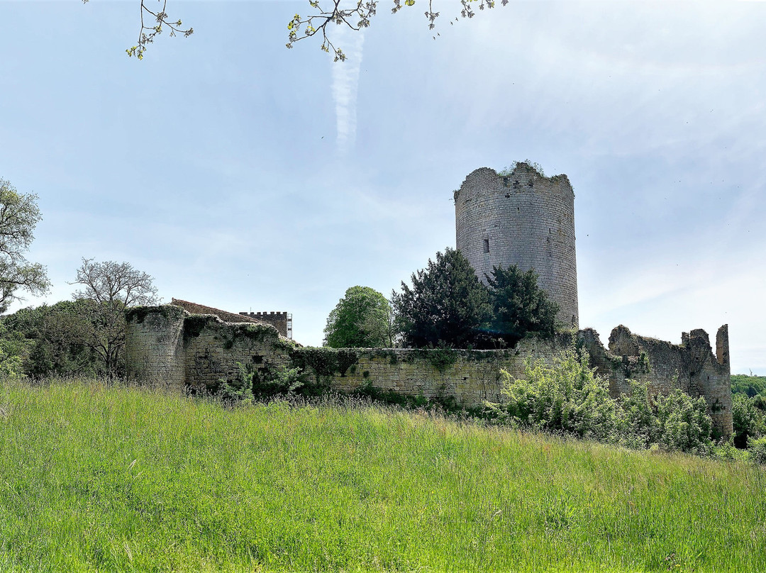 Château de Montreuil Bonnin景点图片