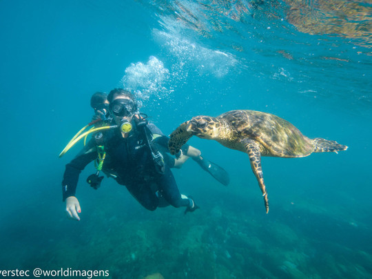 DiversTEC Escola e Operadora de Mergulho