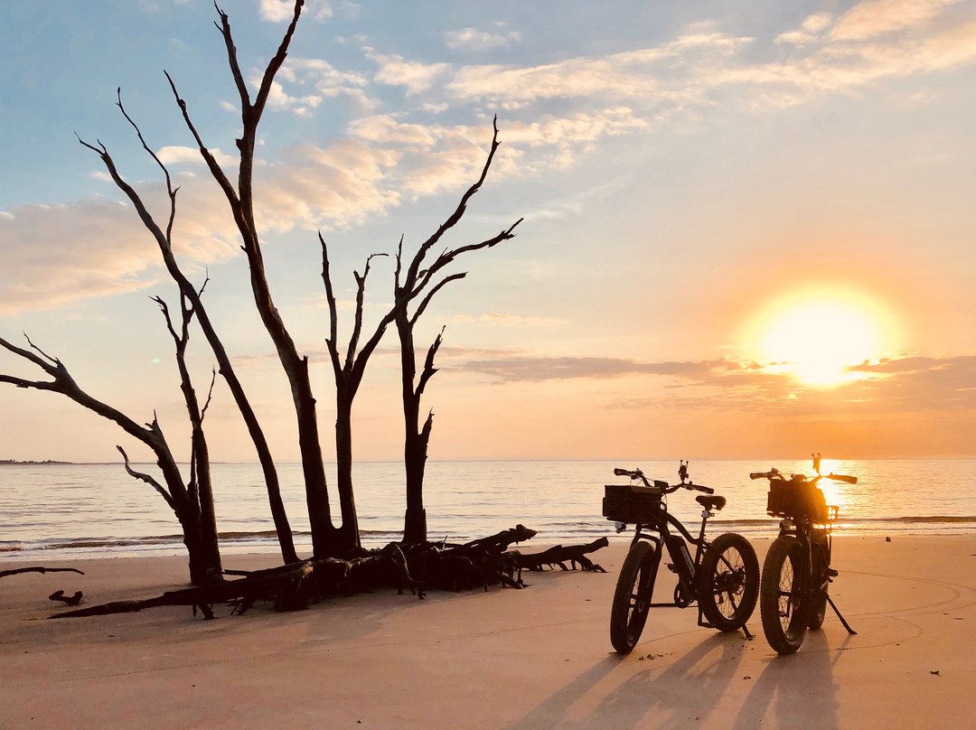 Big Talbot Island State Park景点图片