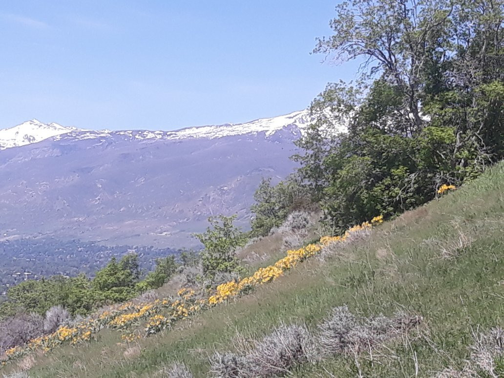 Wild Rose Trailhead Park景点图片