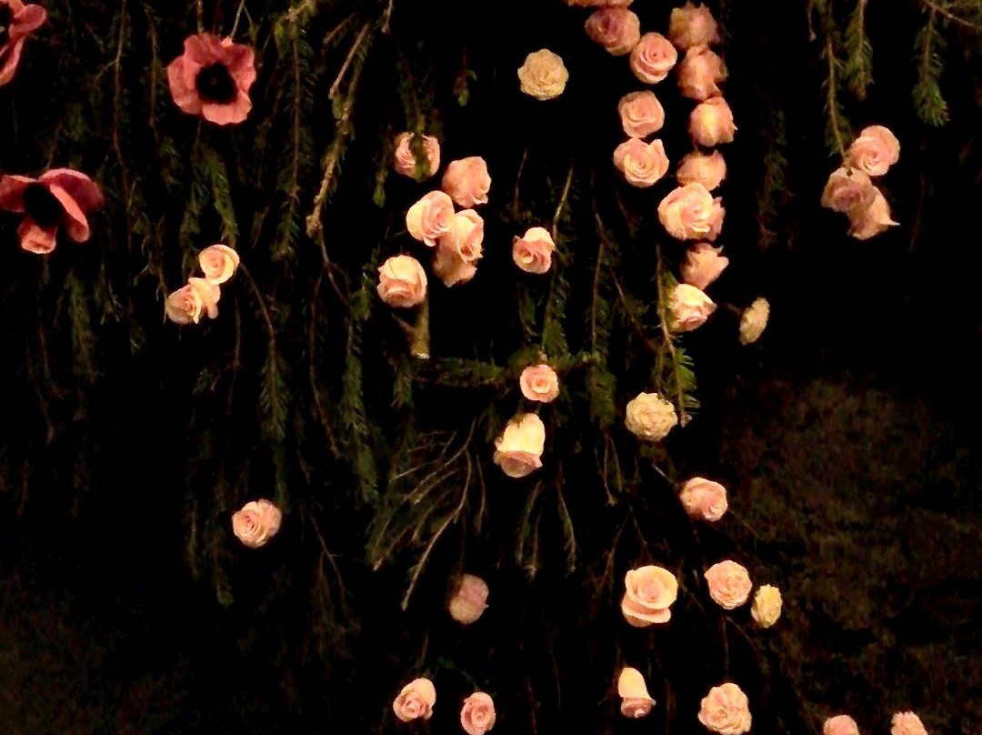 Gianico旅游攻略图片