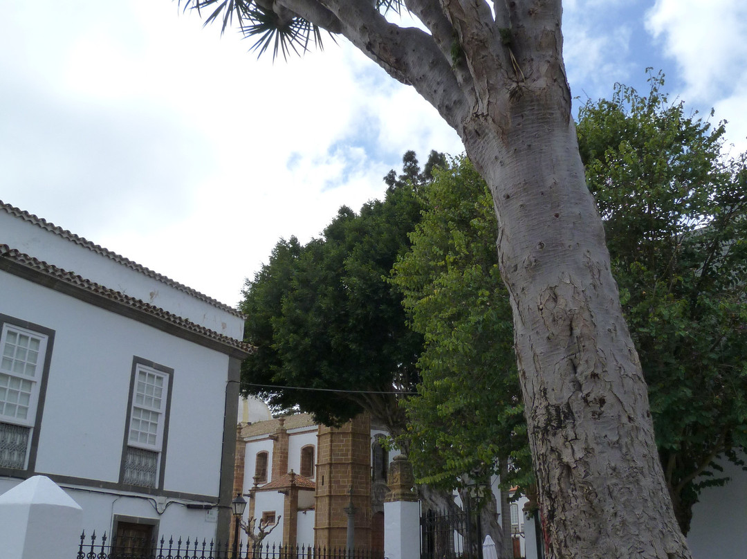 Plaza Teresa de Bolivar景点图片