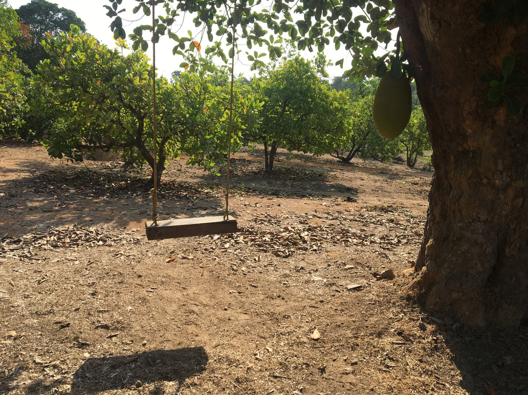 Sathwik Homestay主图