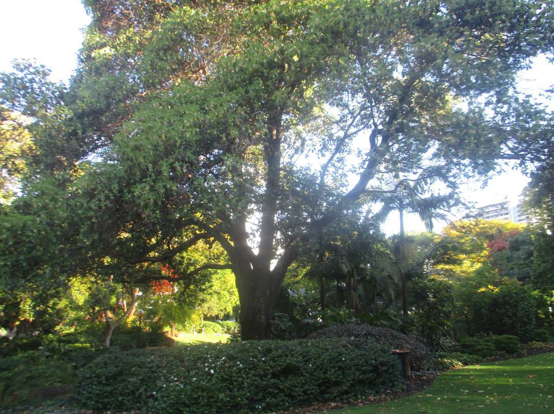 Harold Boas Gardens-珀斯必去景点