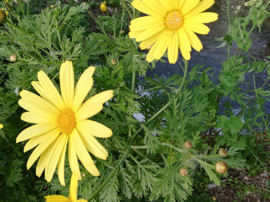 Arikanda River Garden Hotel主图