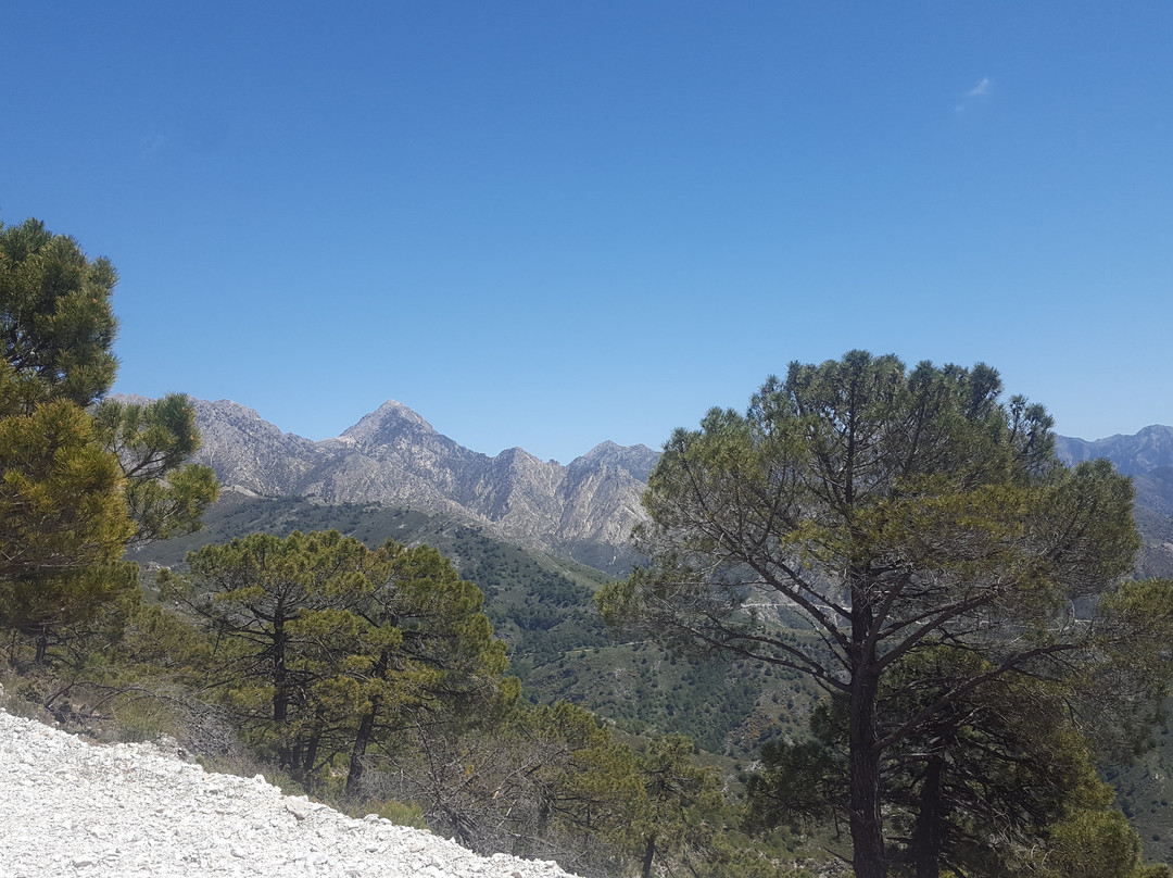 Finca Los Pinos主图