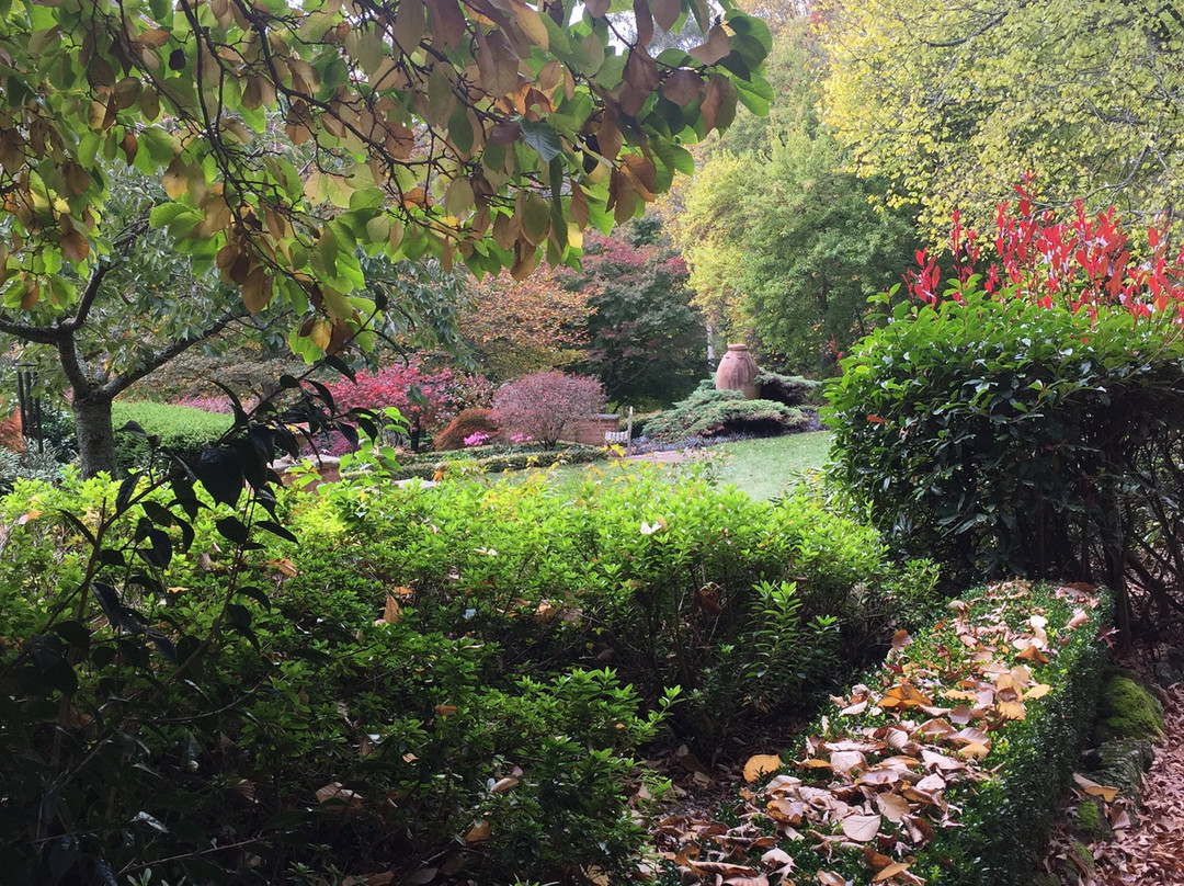 Windyridge Garden景点图片