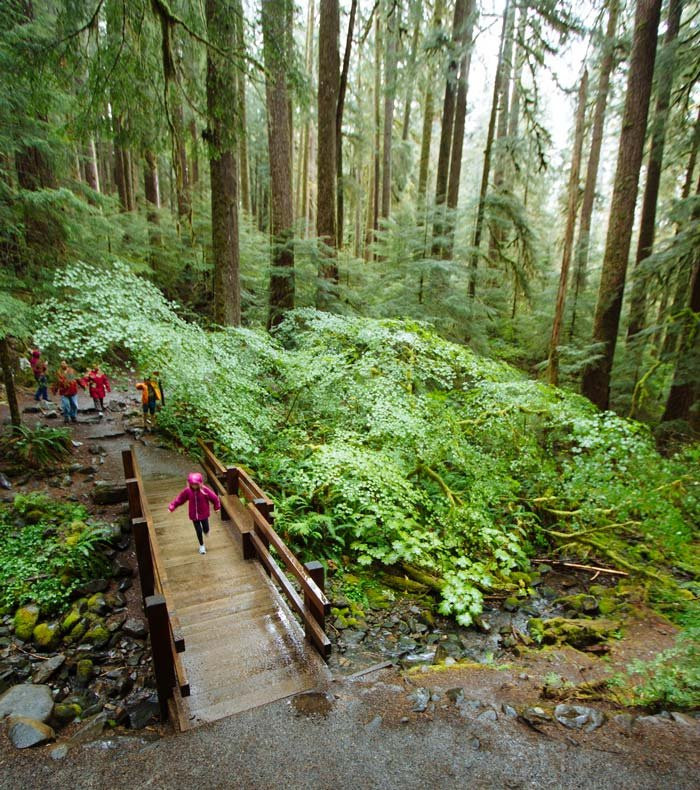 Sol Duc Falls景点图片