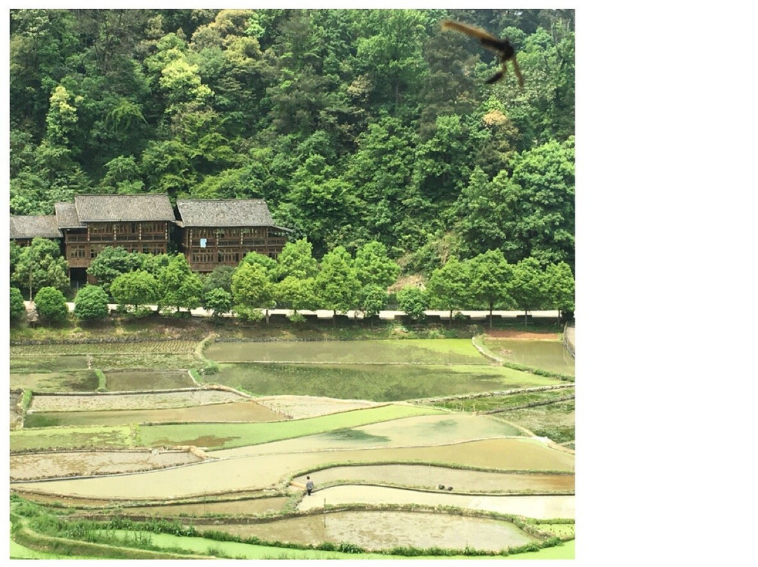 隐居精品客栈主图