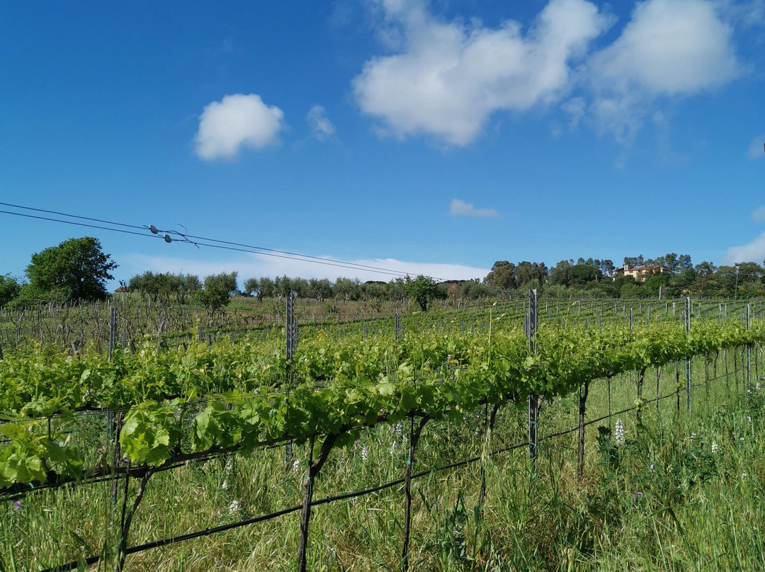 Calabria con Gusto景点图片