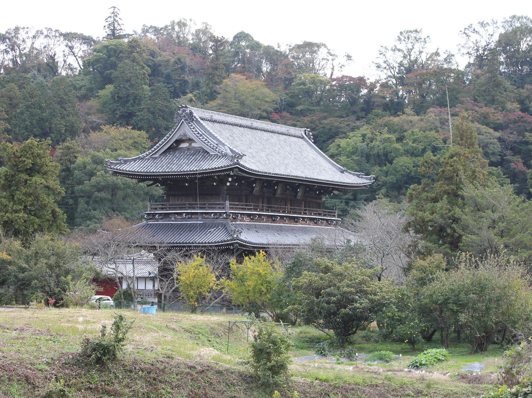 Negoro-ji Temple Daimon景点图片