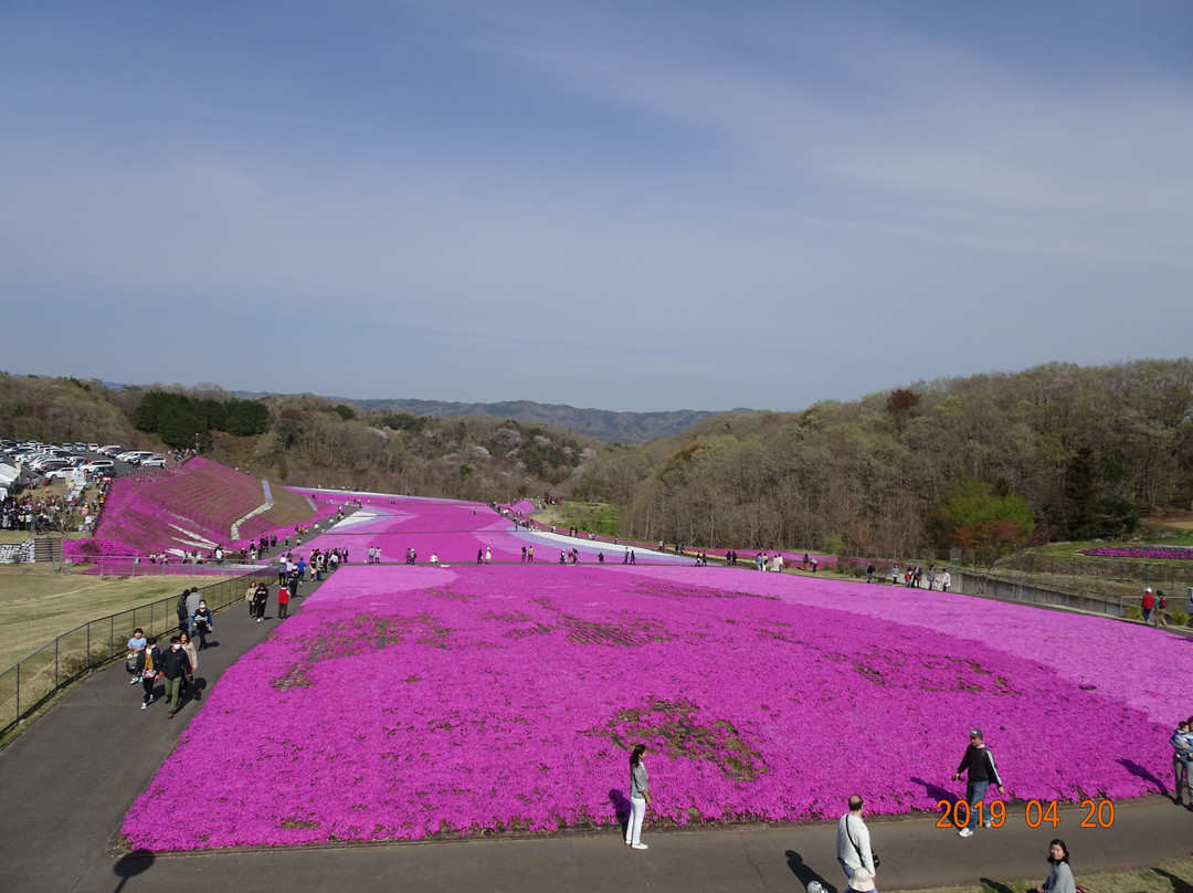 Ichikaimachi Shibazakura Park-市贝町必去景点