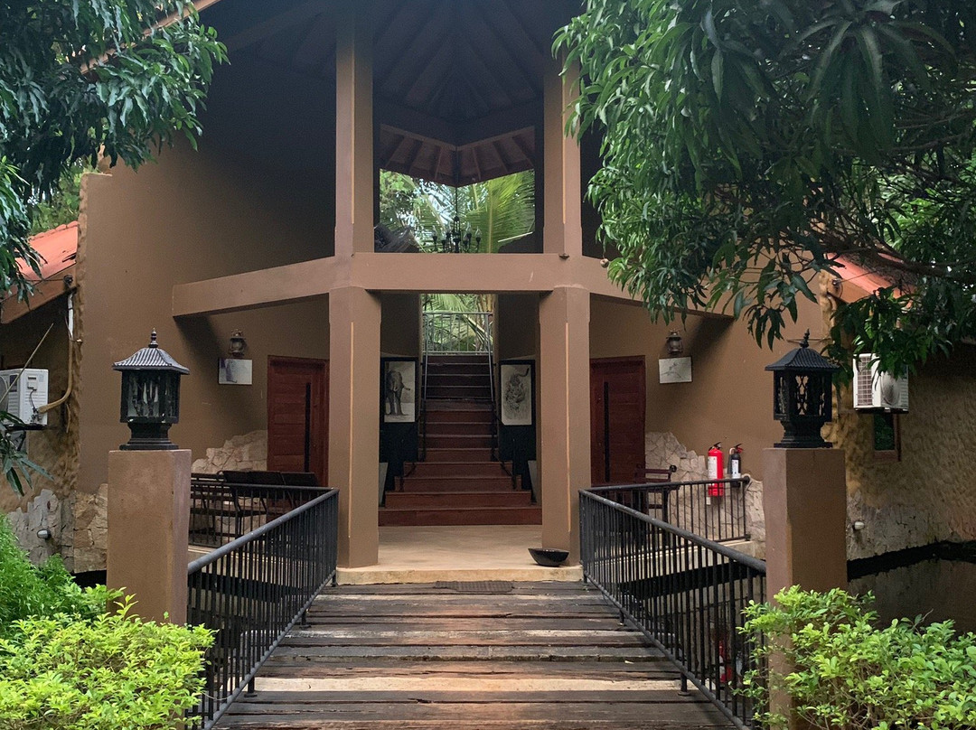 Elephant Safari Hotel