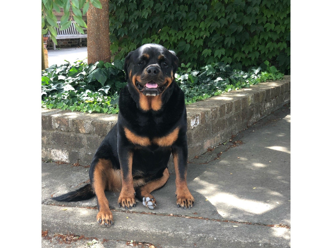 St Maur Wines-Exeter必去景点