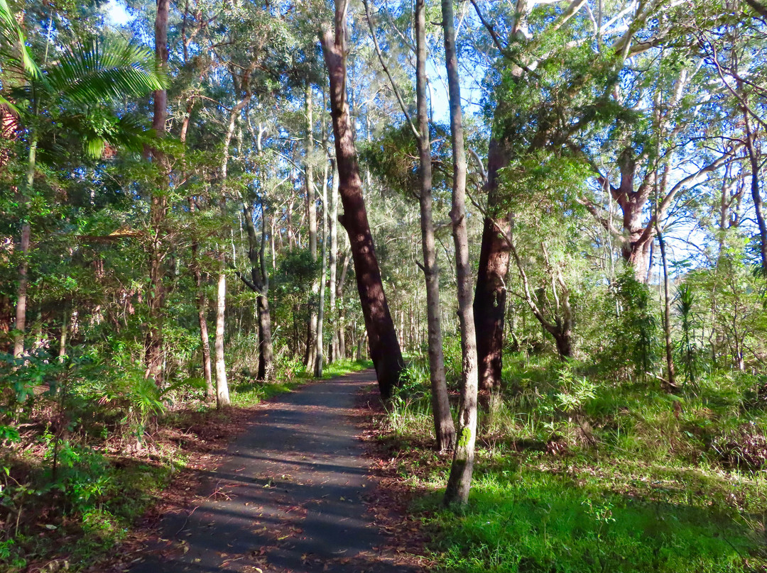 Coffs Creek Walk and Cycleway景点图片