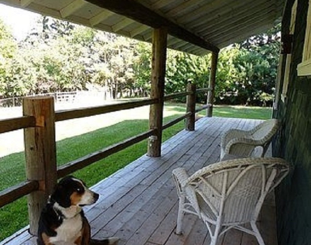 Nestled in the Pines Bed and Breakfast主图