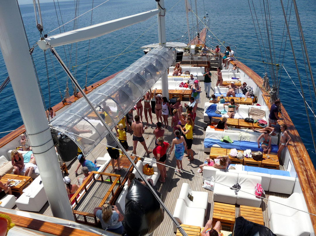 Mobydick Catamaran-Daily Tours景点图片