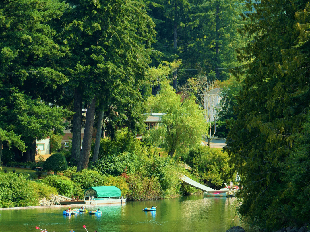 Cowichan River Tubing - The Tube Shack景点图片