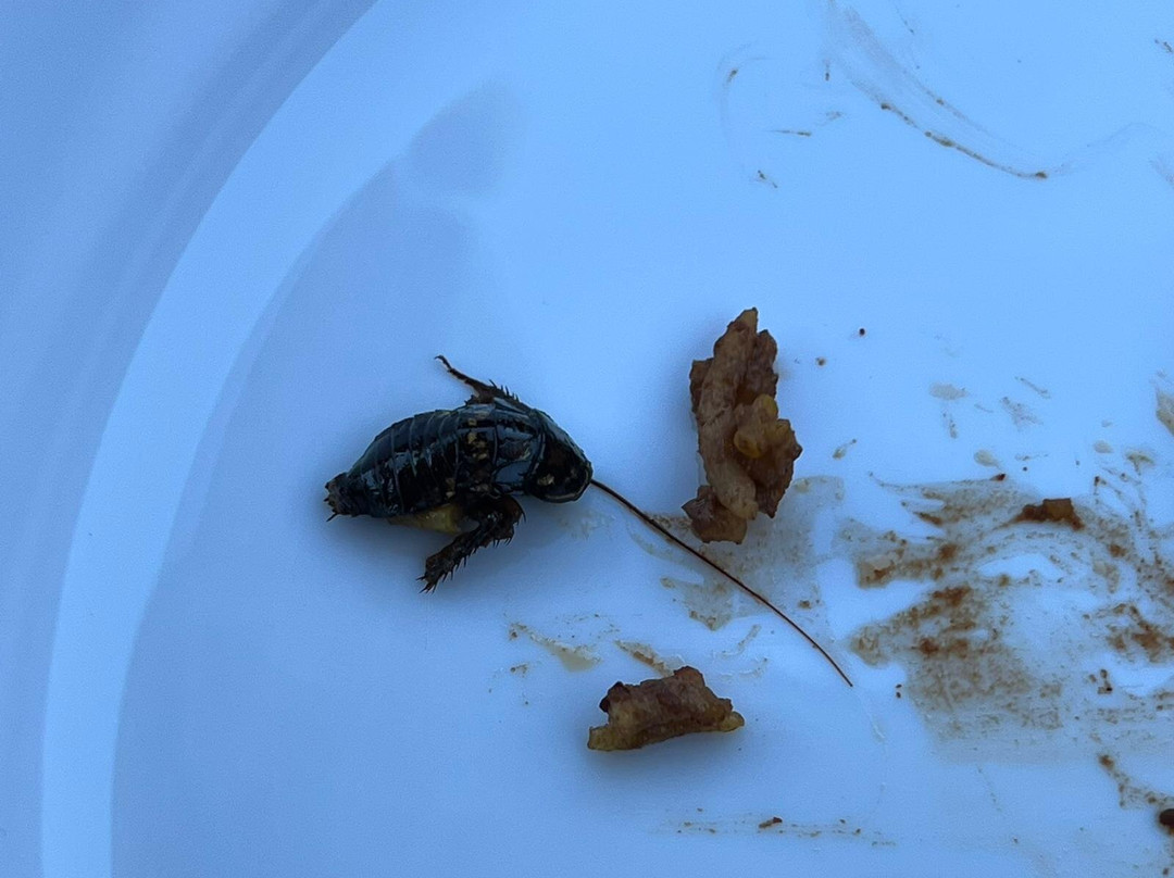 Hyderabad House Biryani Place