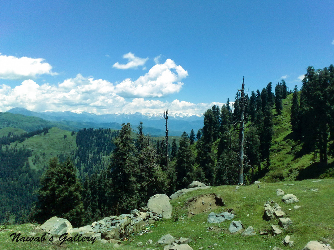 Azad Kashmir旅游景点-Toli Pir