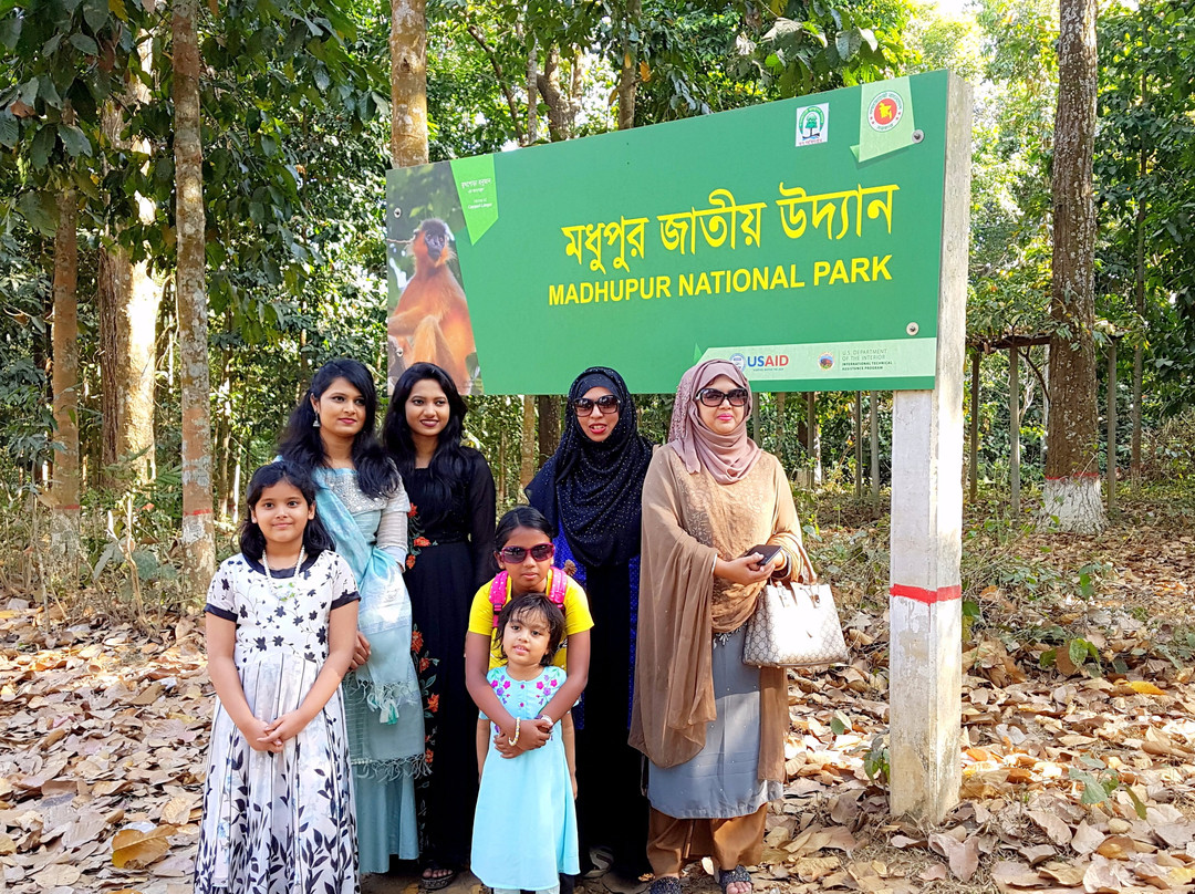 Madhupur National Park景点图片