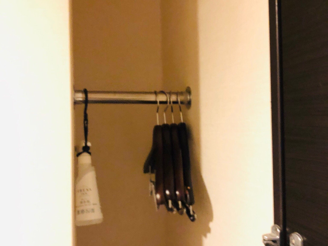Sotetsu Fresa Inn Fujisawa Shonandai主图