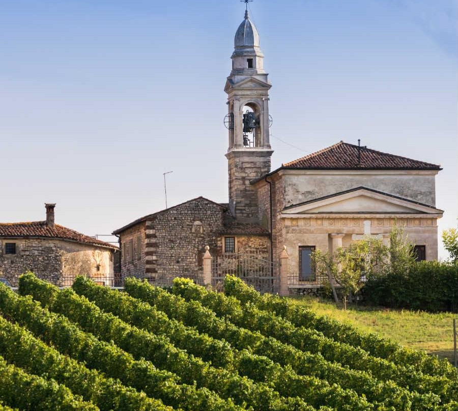 Anelli Autoservizi - Private driver Valpolicella - Verona景点图片