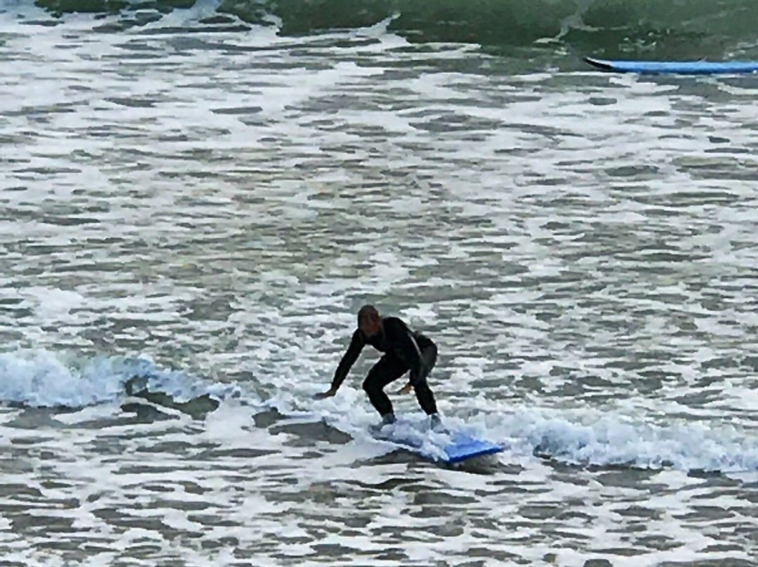 Catlins Surf School-Curio Bay必去景点