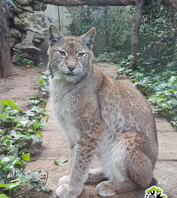 Natura Parc景点图片