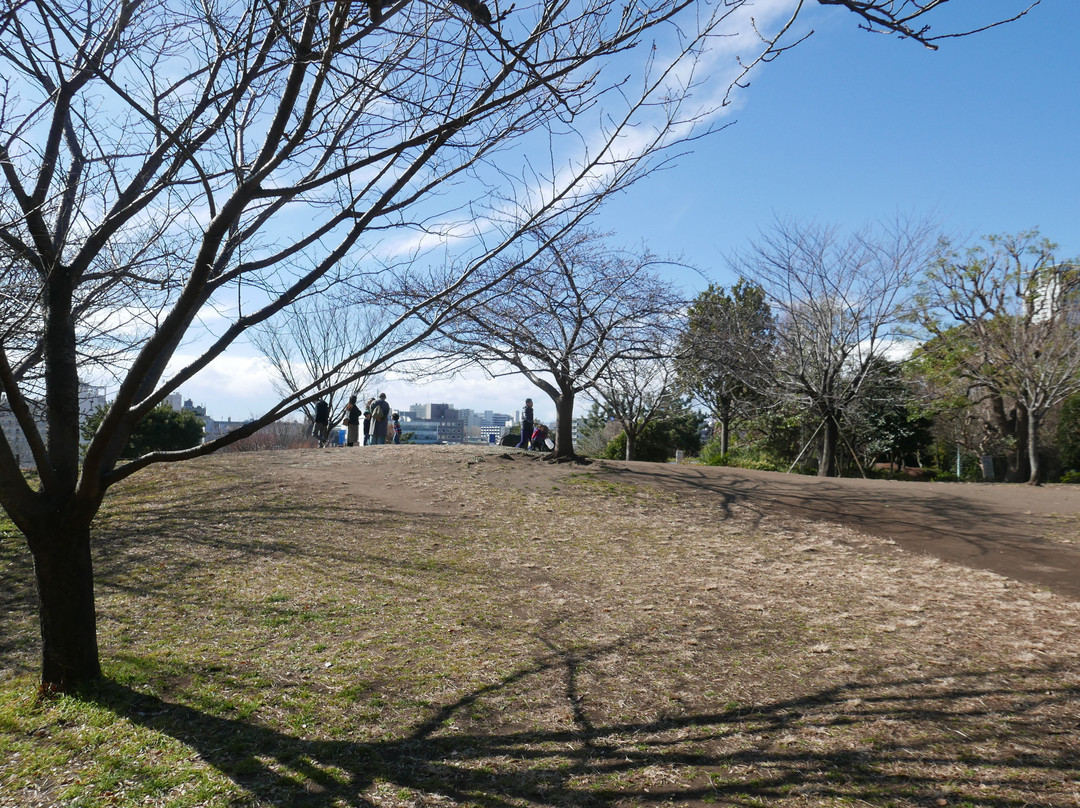 Saigoyama Park-目黒区必去景点
