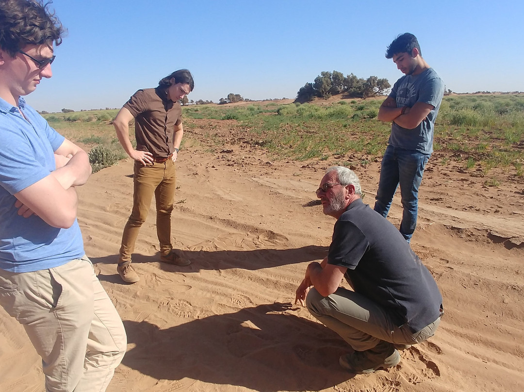 Hotel Carrefour des Nomades主图