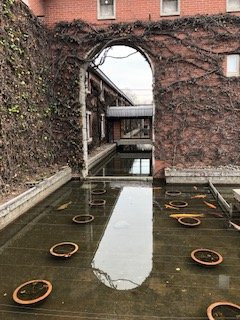 Kurashiki Ivy Square主图
