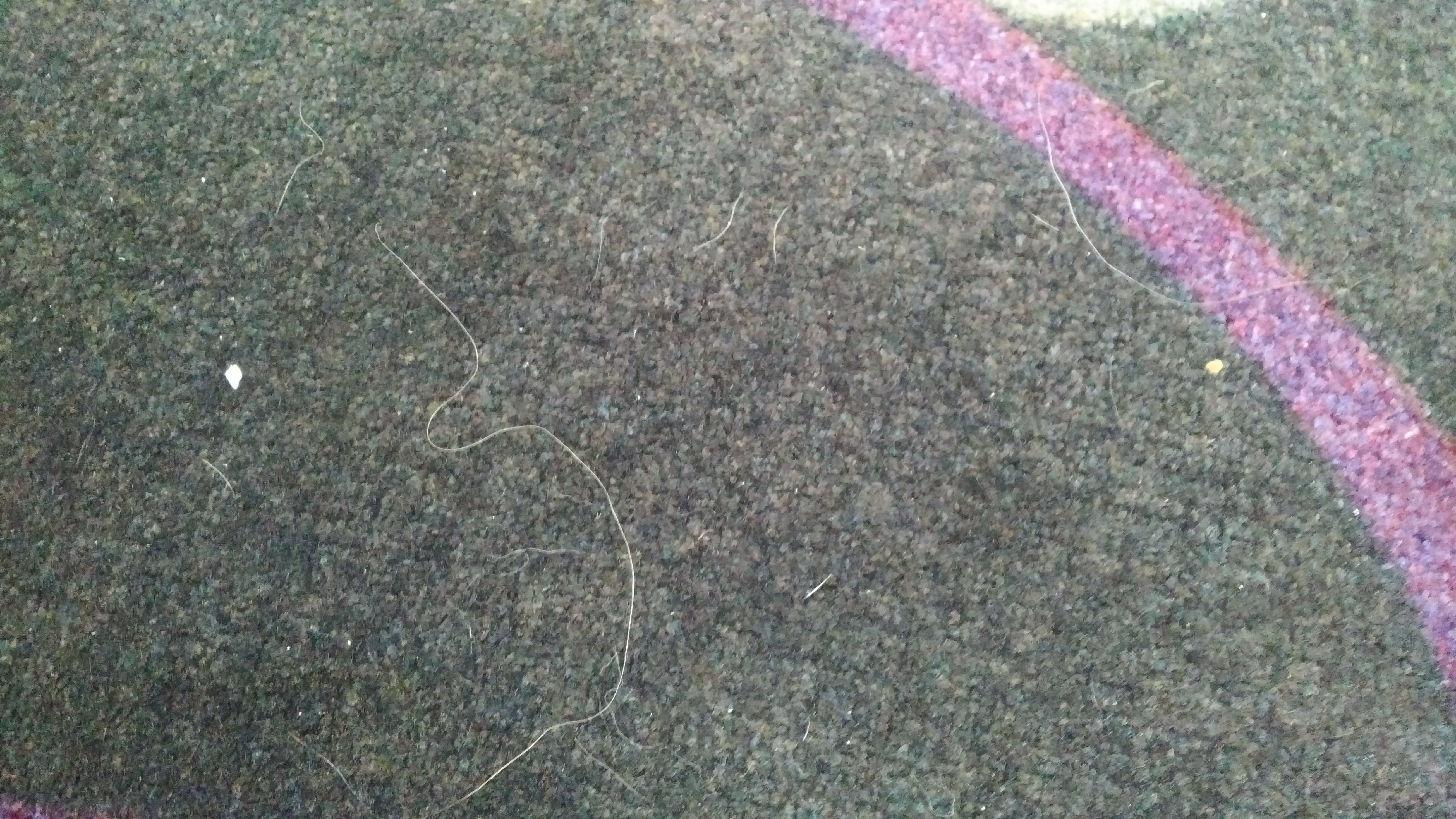 La Quinta Inn & Suites by Wyndham Lake Charles - Westlake-浴室