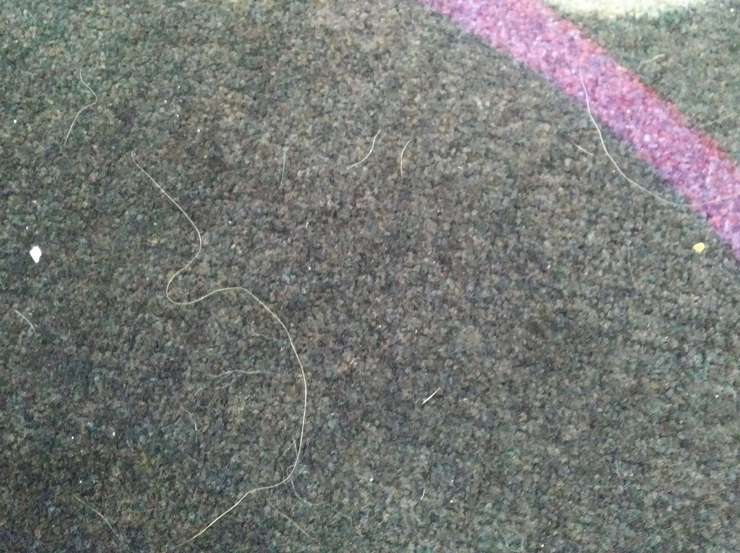 La Quinta Inn & Suites by Wyndham Lake Charles - Westlake主图