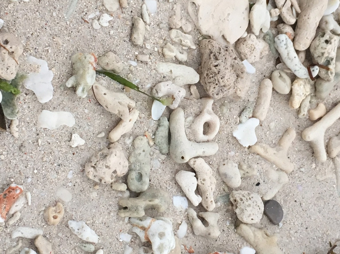 亚摩瑞拉度假村主图