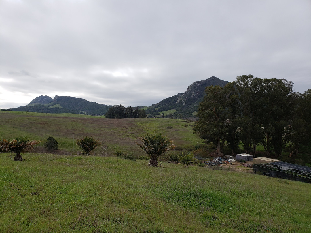 San Luis Obispo botanical garden景点图片
