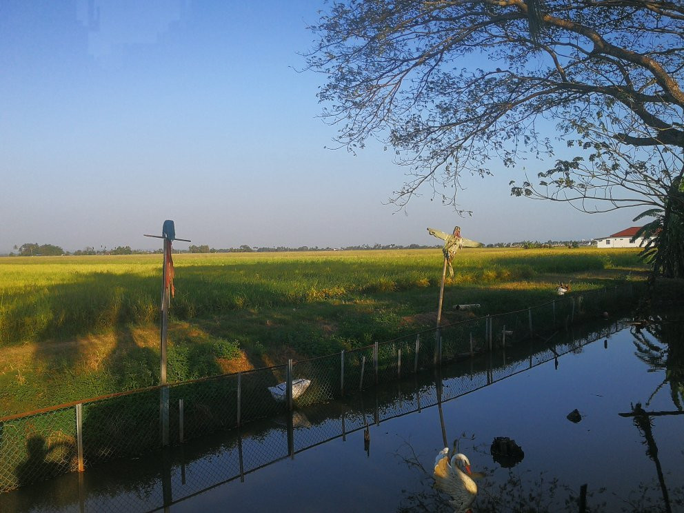 Ladang Madu Kelulut Ori DUKUN JAYA景点图片