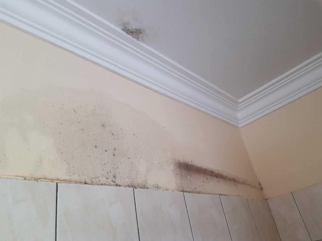 庞拉奥摄政公园主图