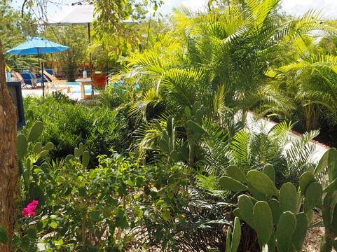 Cumayasa Sky Adventure-拉罗马纳必去景点