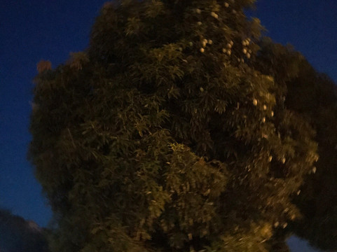 卡尔穆修道院旅馆主图