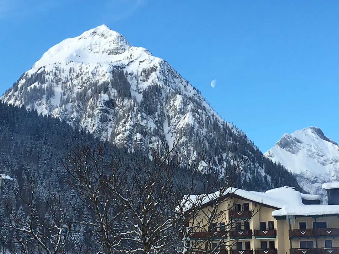 Hotel Der Wiesenhof主图