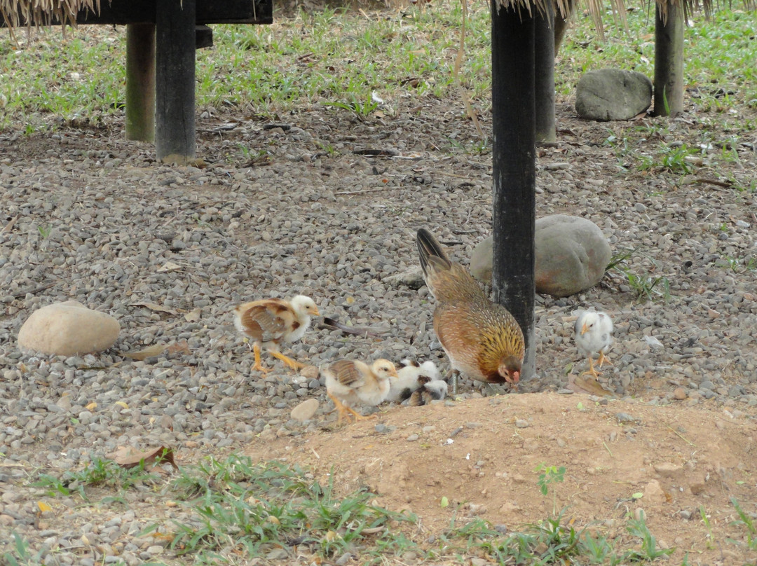 Parque las Malocas-比亚维森西奥必去景点