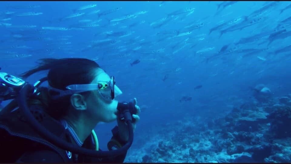 Raie Manta Diving Tikehau景点图片