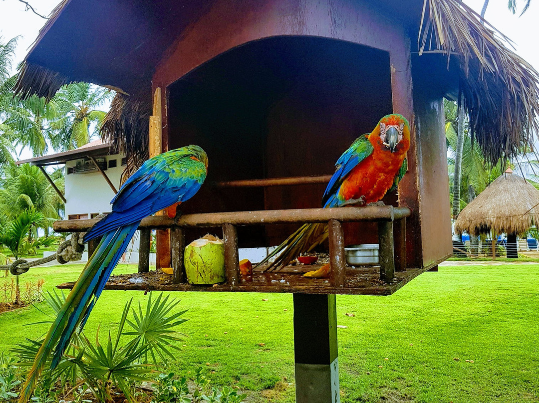 Serrambi Resort主图