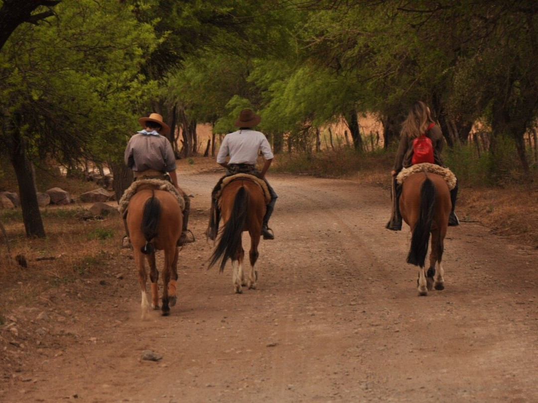 Encanto Salteno-萨尔塔必去景点