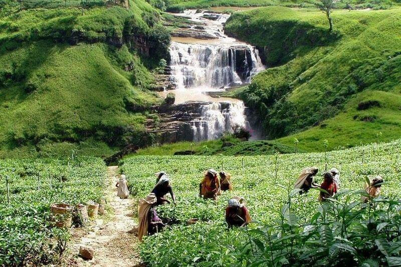 Ultra Lanka Tours-科伦坡必去景点