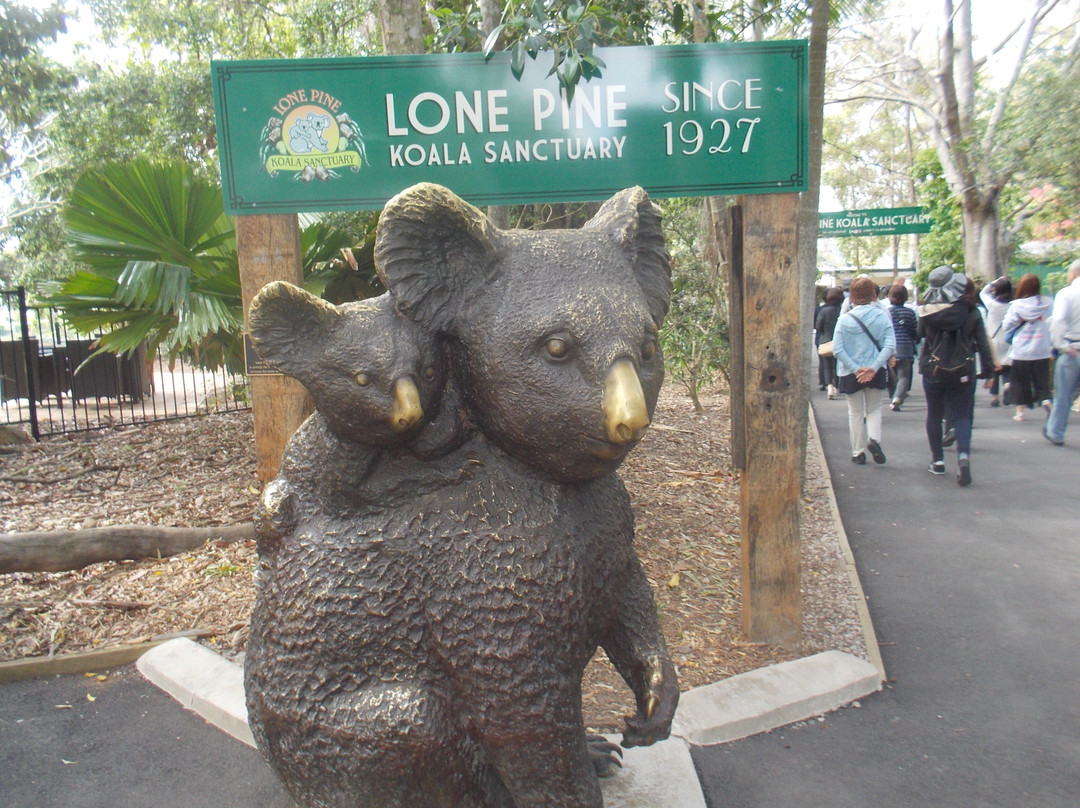 龙柏考拉野生动物园景点图片