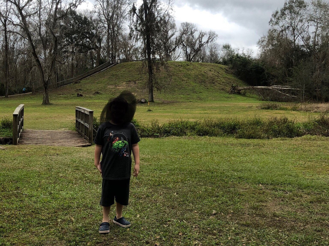 Lake Jackson Mounds Archaeological State Park景点图片