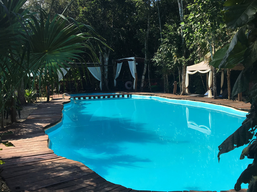 Jolie Jungle Eco Hotel主图